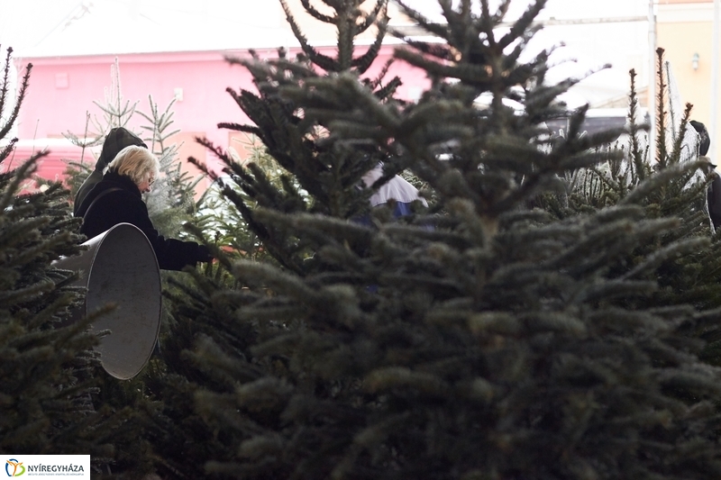 Karácsonyra készülve a Búza téri piacon