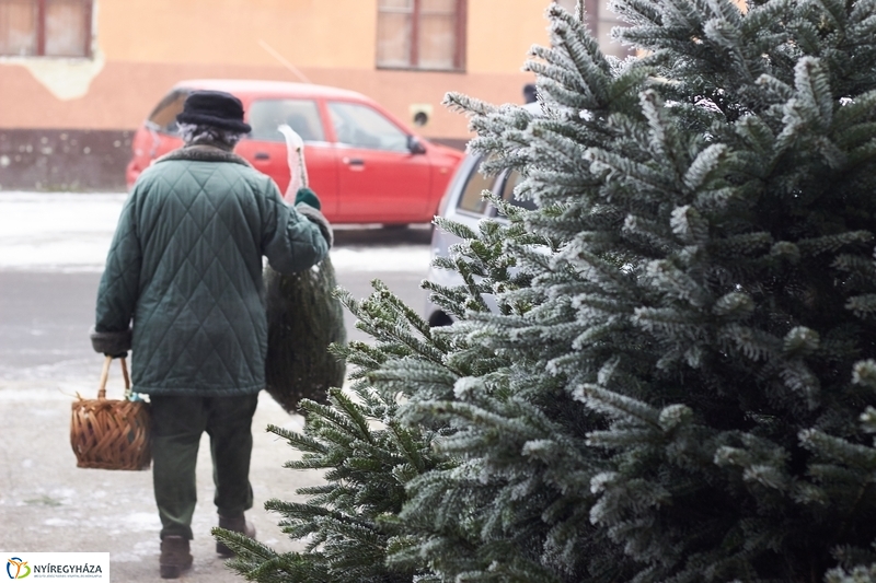 Karácsonyra készülve a Búza téri piacon