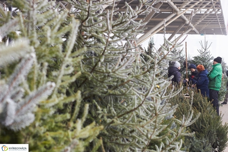 Karácsonyra készülve a Búza téri piacon