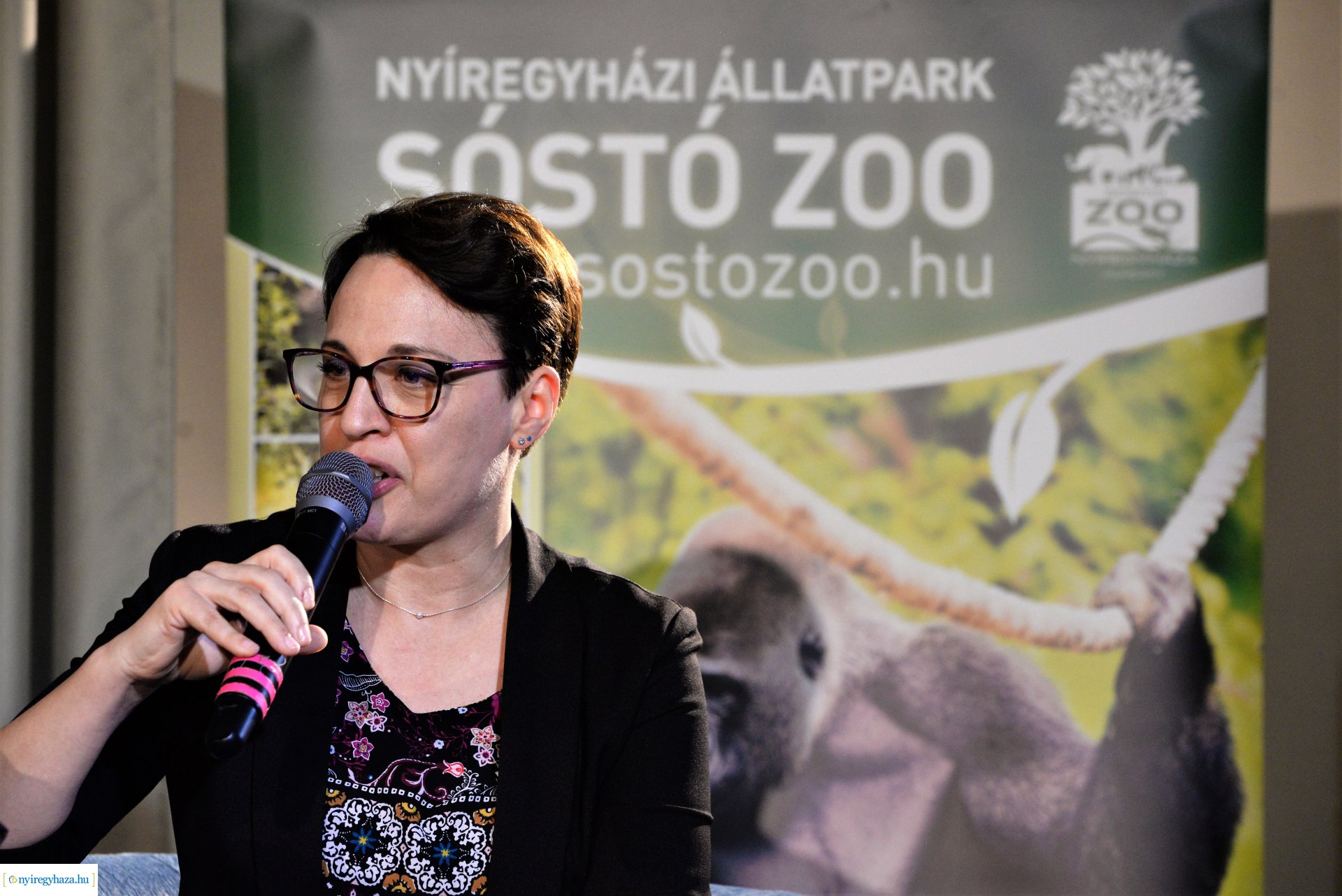 80 nap alatt a Föld körül - a Sóstó Zoo kulisszatitkai
