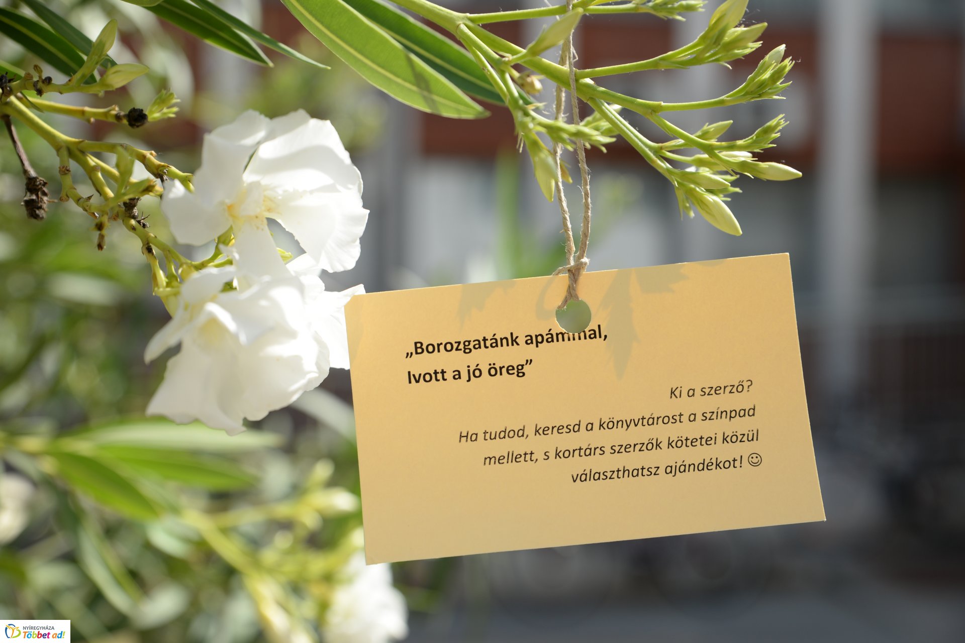 90. Ünnepi Könyvét megnyitó