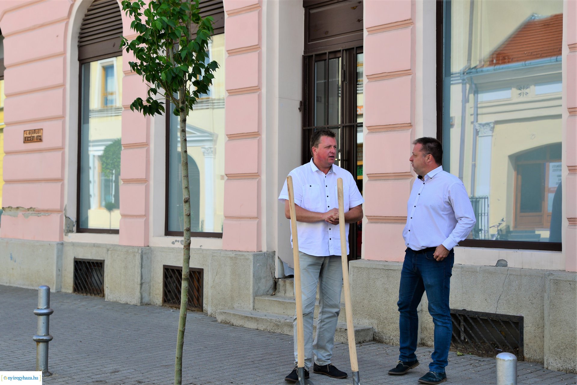 A belvárosban is folytatódik a fásítási program