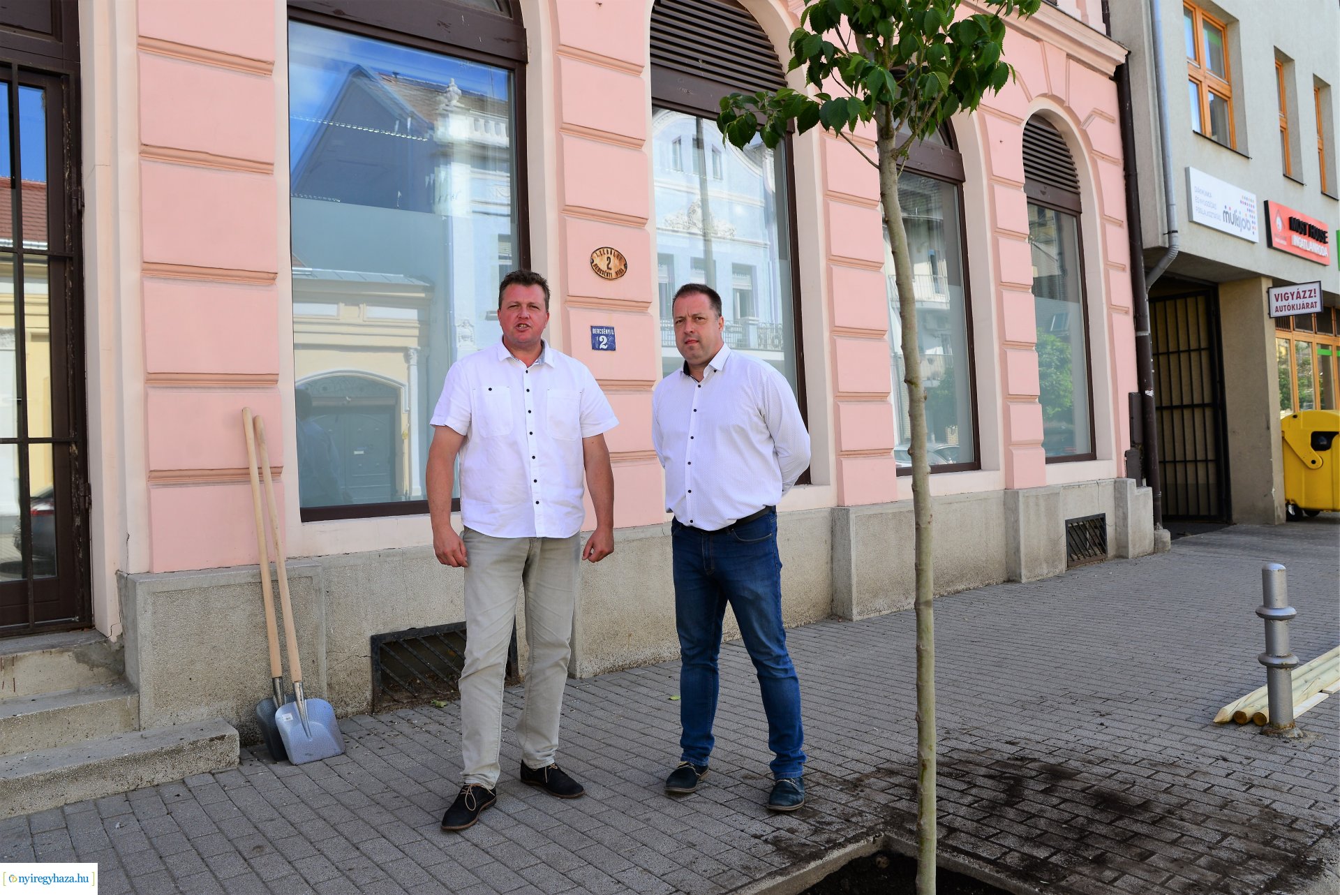 A belvárosban is folytatódik a fásítási program