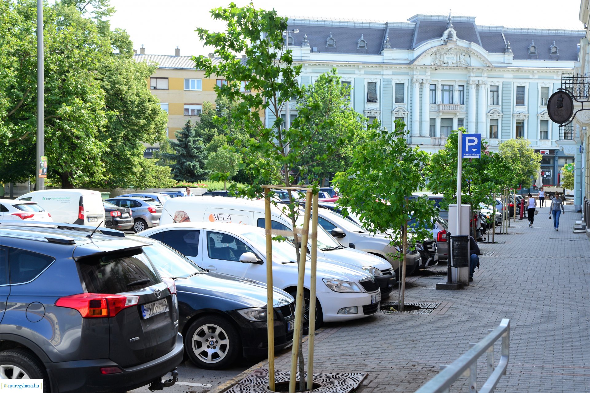 A belvárosban is folytatódik a fásítási program