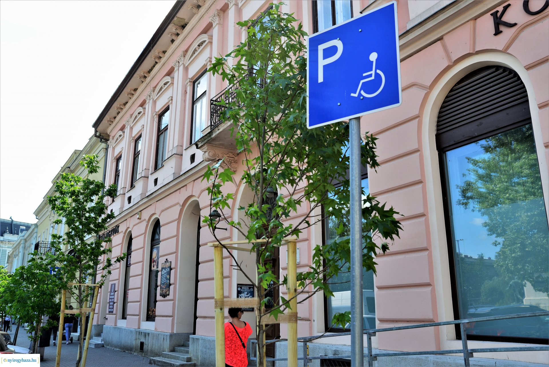 A belvárosban is folytatódik a fásítási program