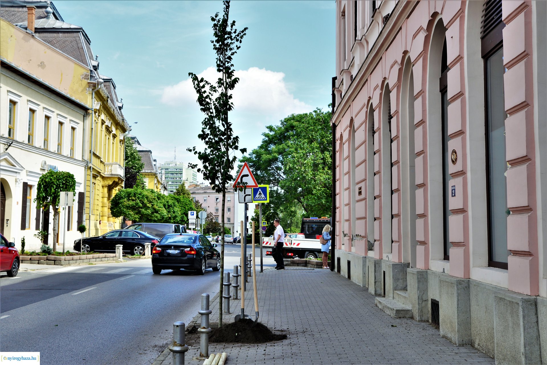 A belvárosban is folytatódik a fásítási program