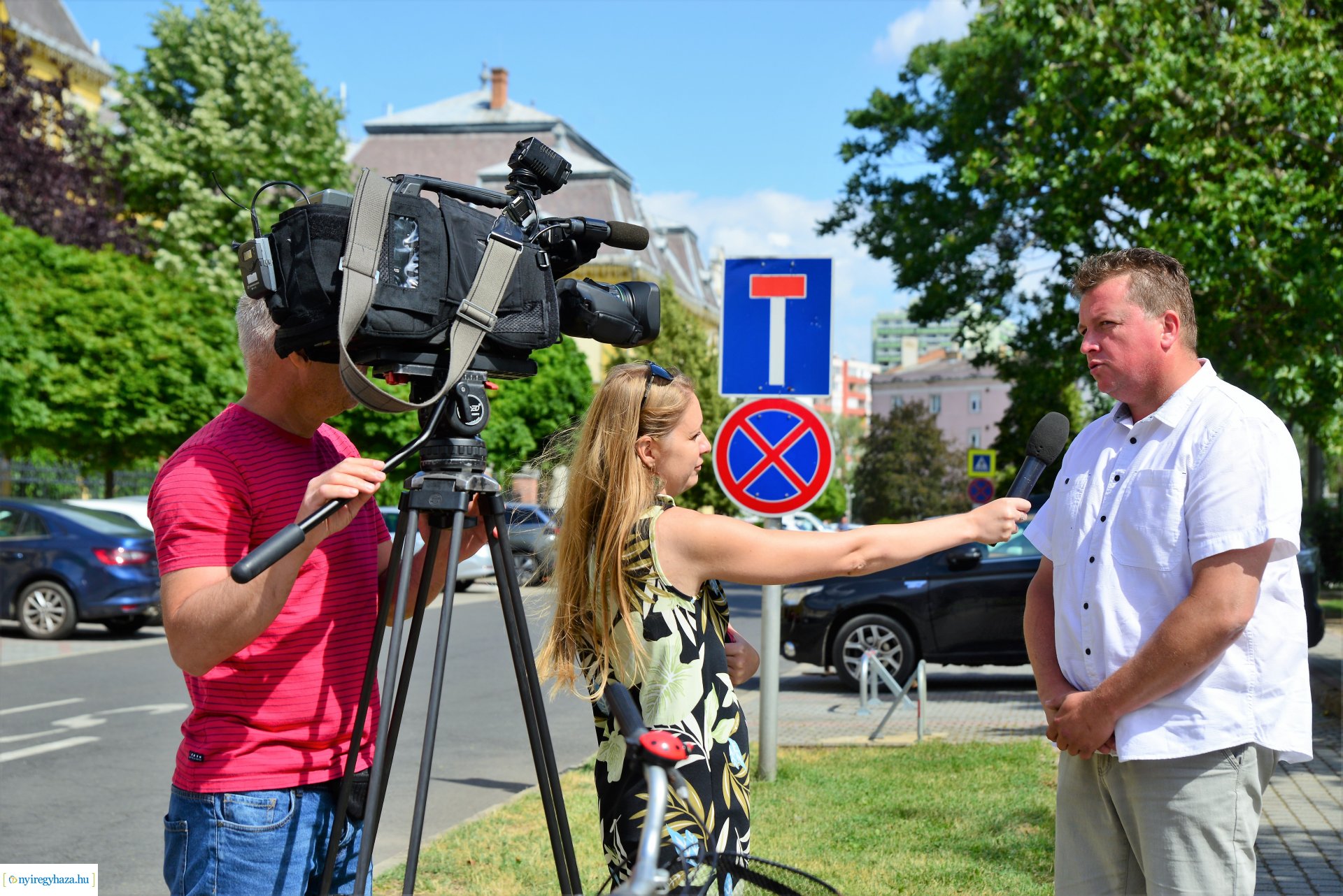 A belvárosban is folytatódik a fásítási program