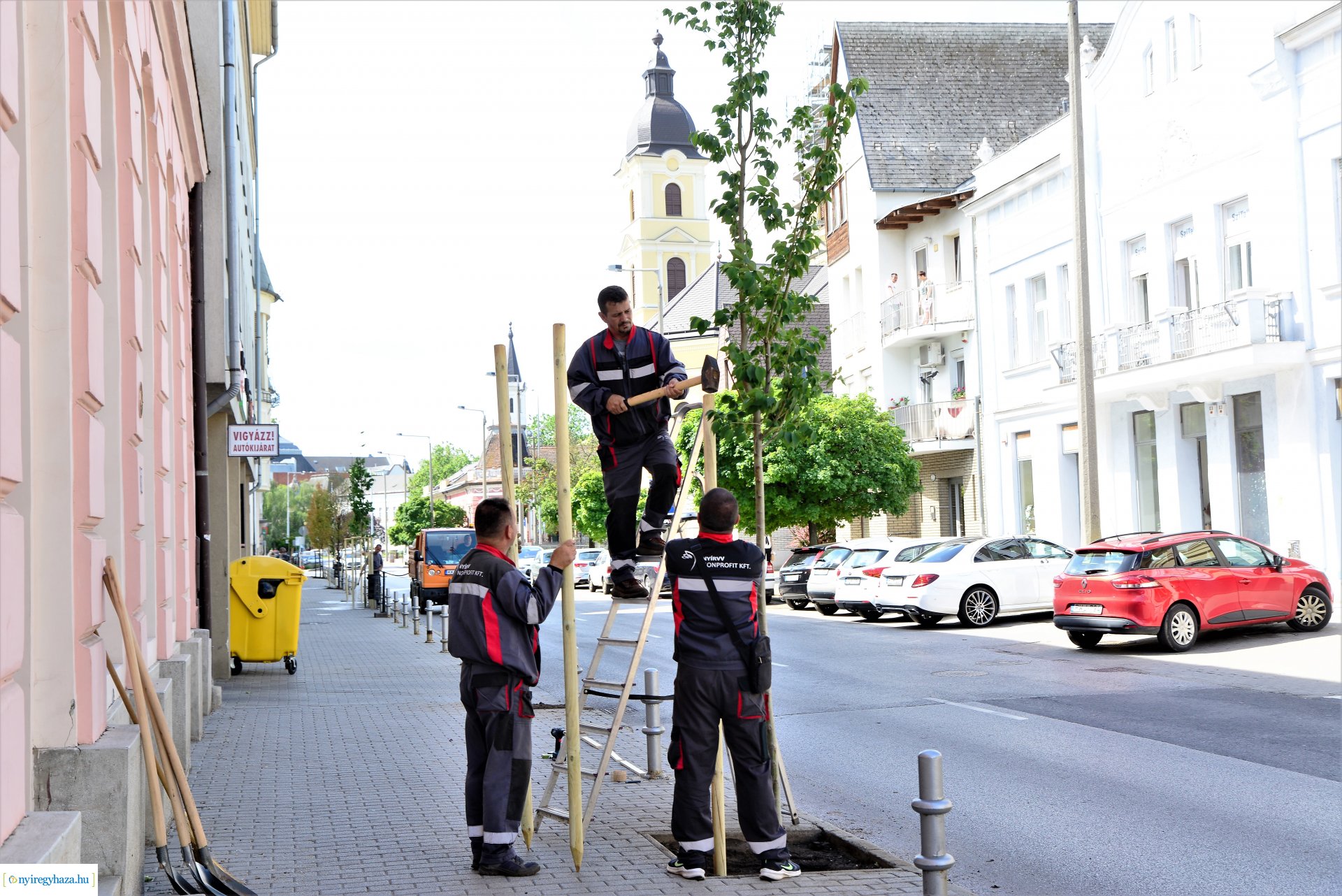 A belvárosban is folytatódik a fásítási program