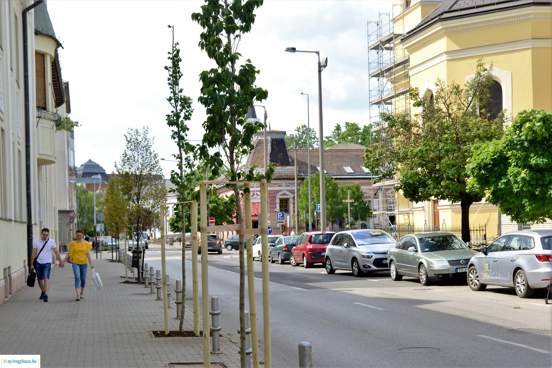 A belvárosban is folytatódik a fásítási program