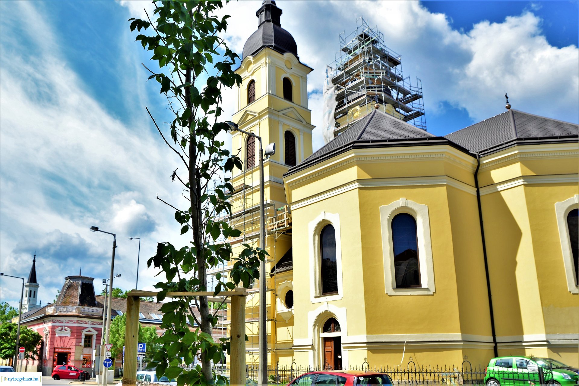 A belvárosban is folytatódik a fásítási program