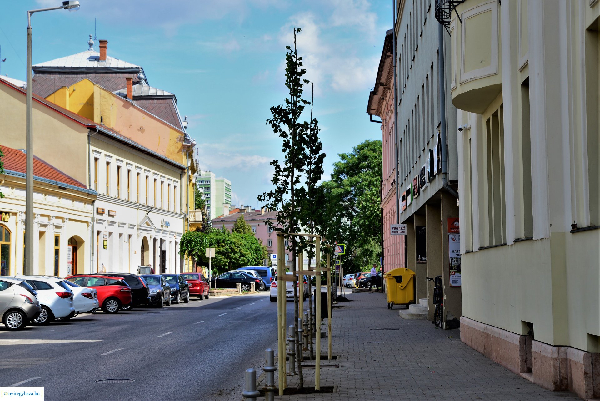 A belvárosban is folytatódik a fásítási program