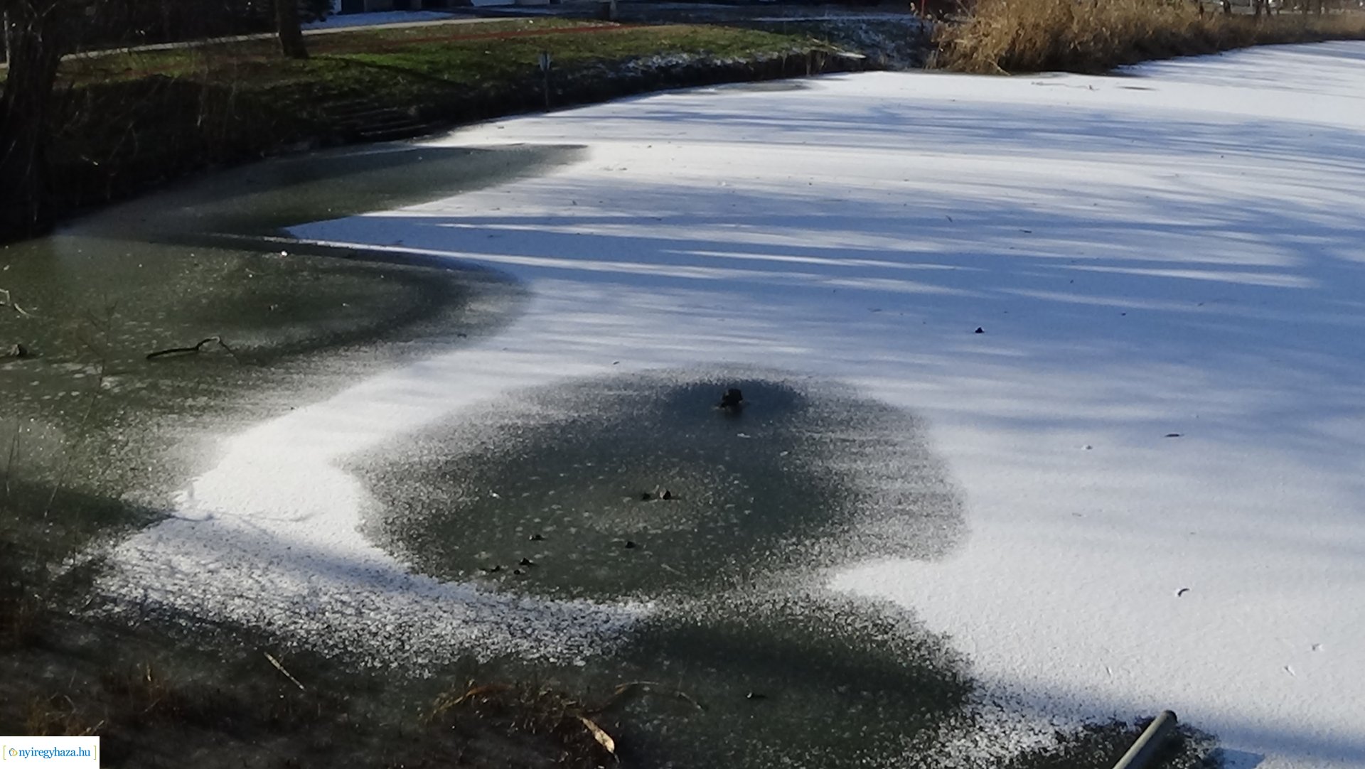 A Bujtos jegére lépni szigorúan tilos!