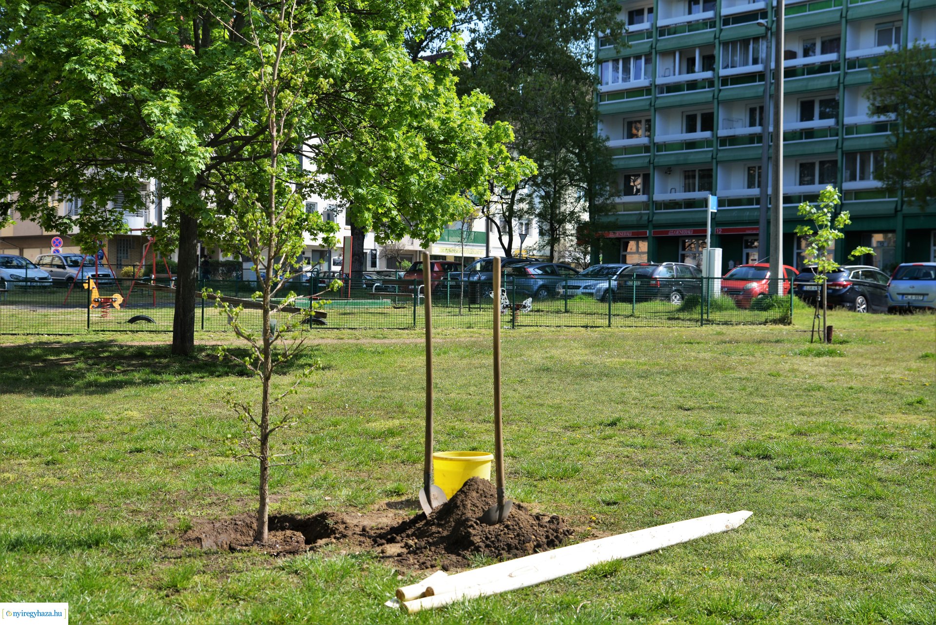 A Dob utcán folytatódik a fásítási program