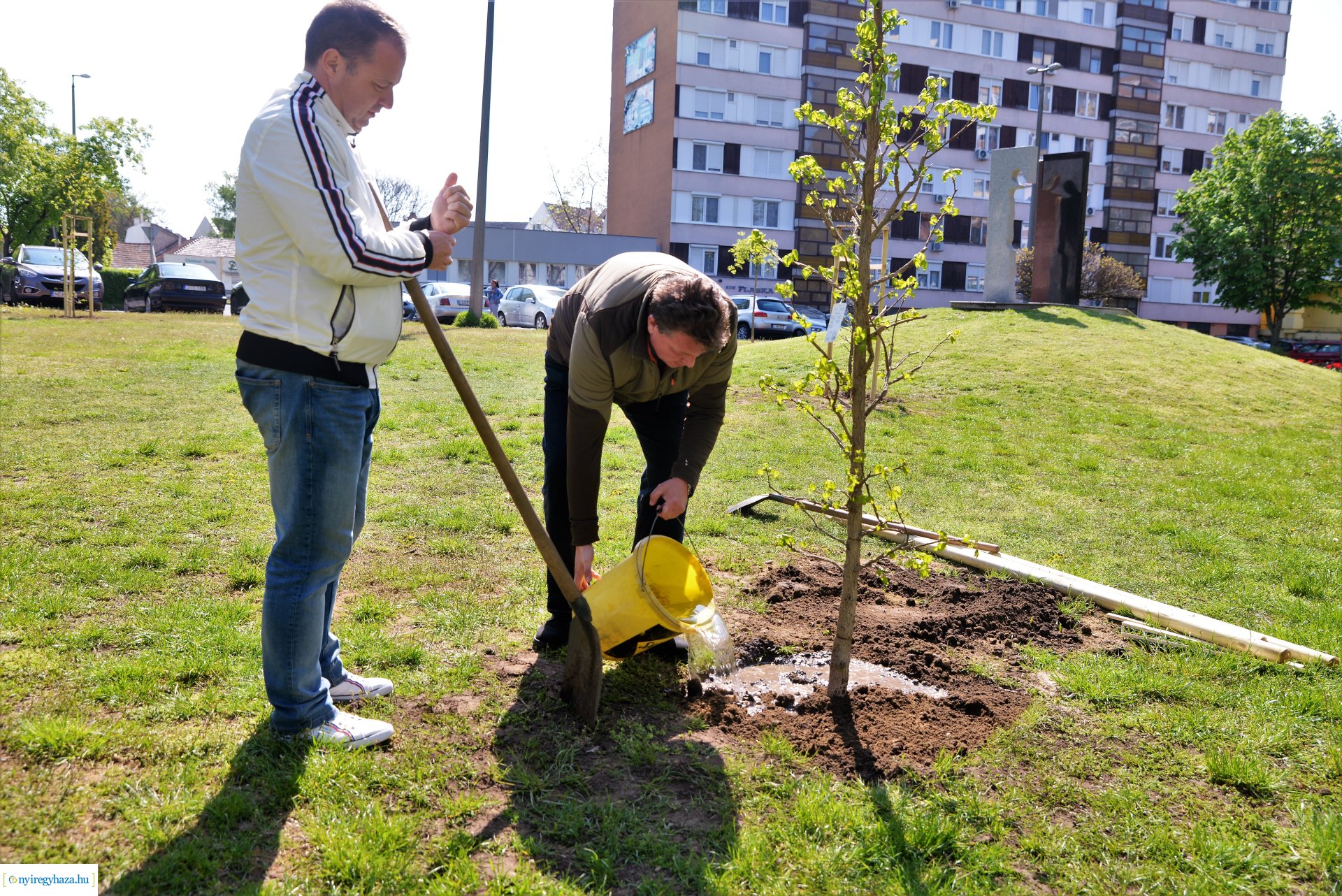 A Dob utcán folytatódik a fásítási program