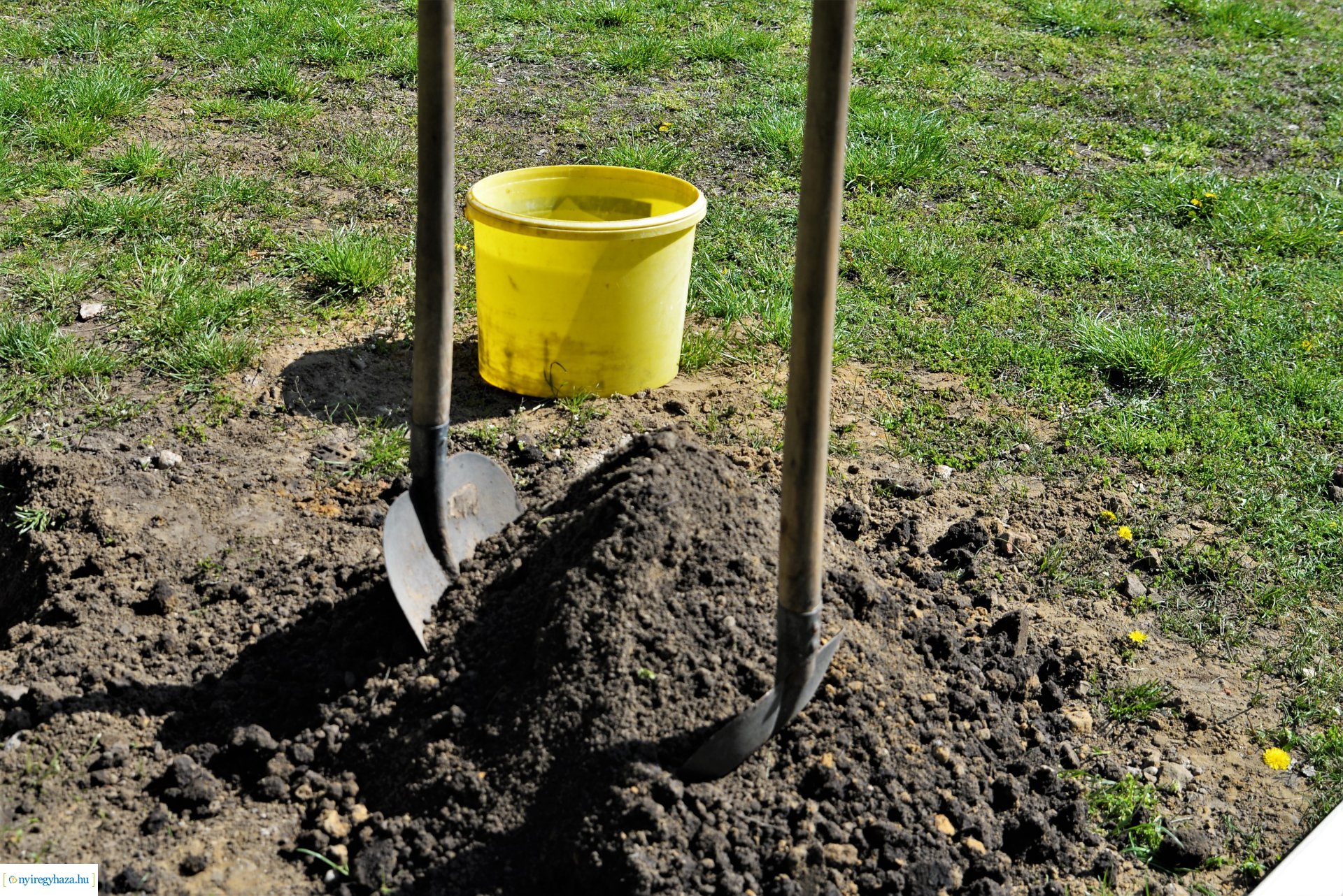 A Dob utcán folytatódik a fásítási program