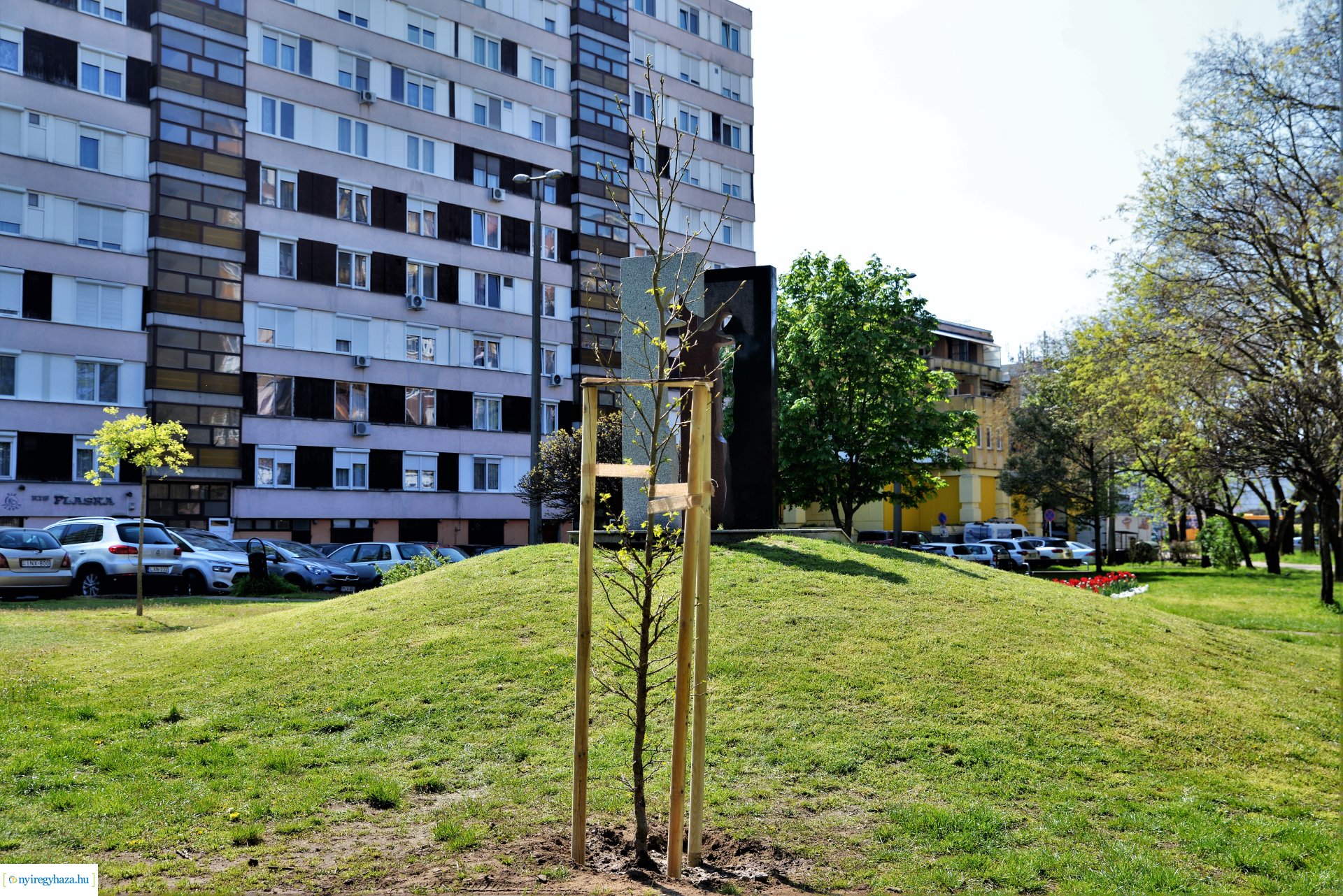 A Dob utcán folytatódik a fásítási program