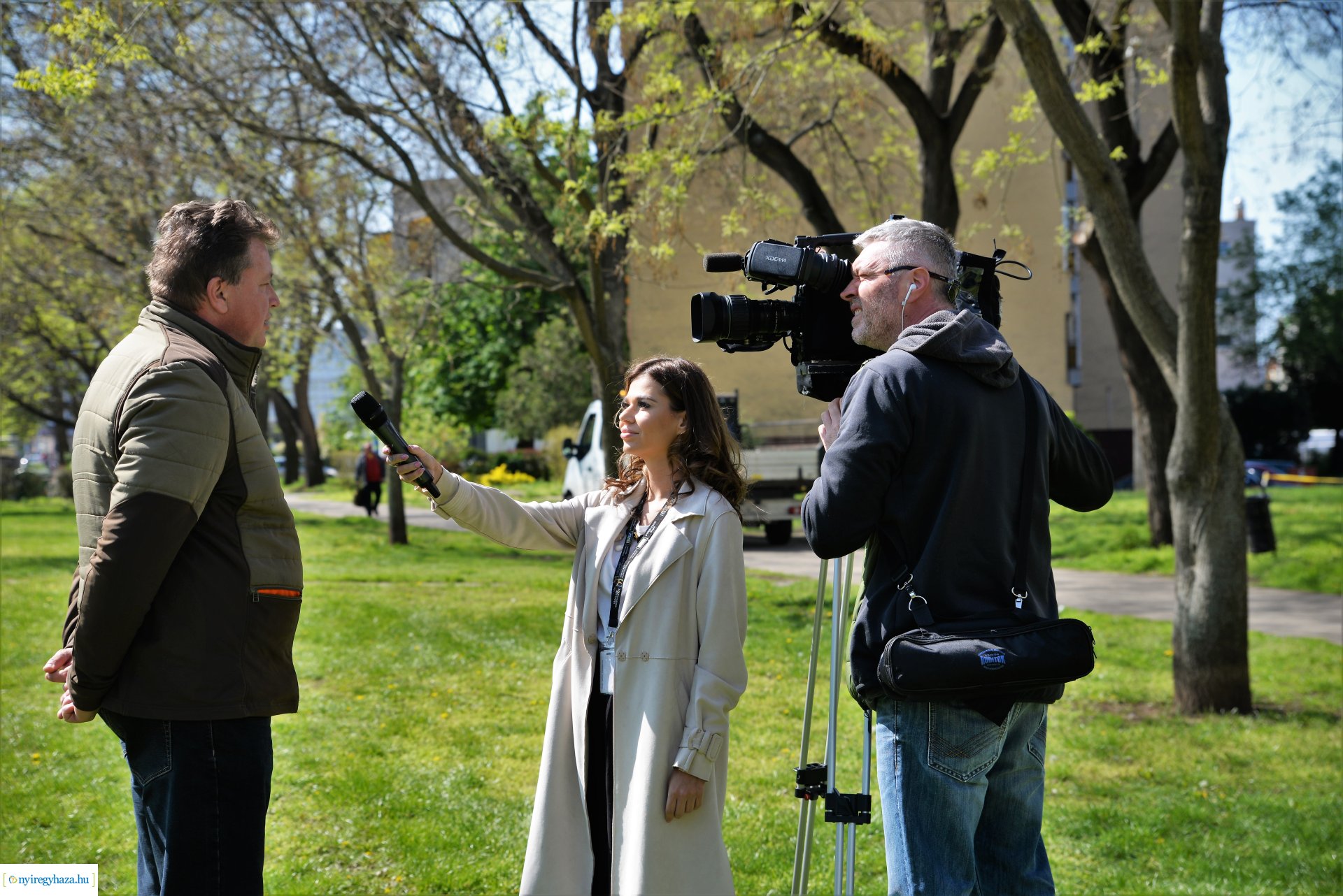 A Dob utcán folytatódik a fásítási program