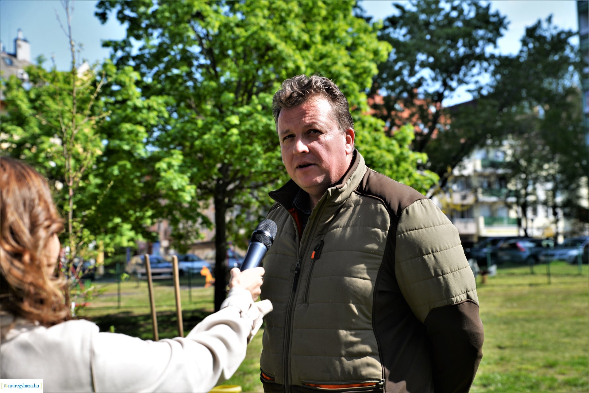 A Dob utcán folytatódik a fásítási program