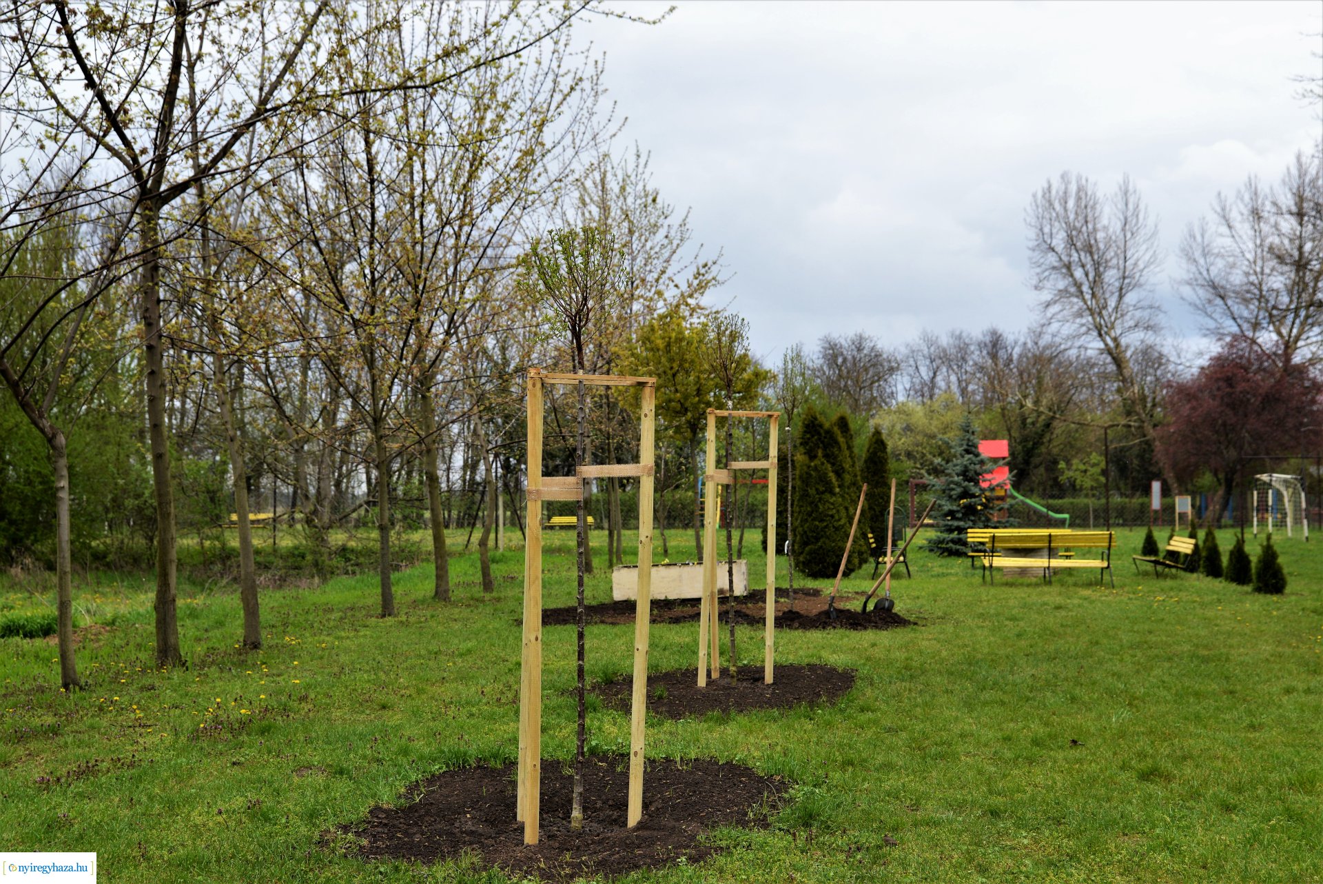 A fásítási program Mandabokorban folytatódik