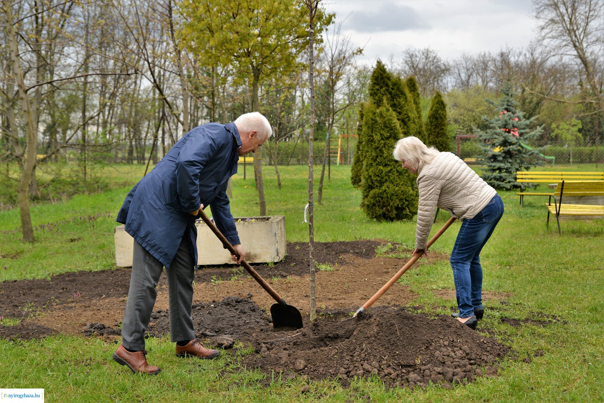 A fásítási program Mandabokorban folytatódik