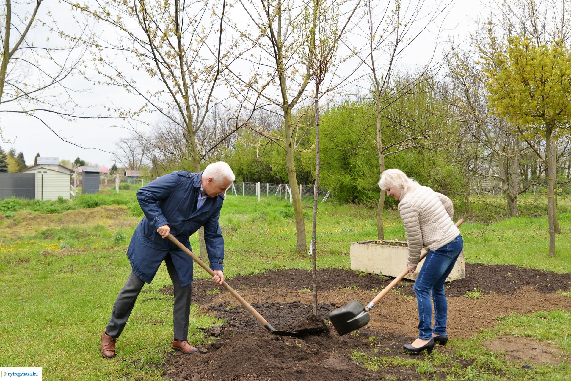 A fásítási program Mandabokorban folytatódik