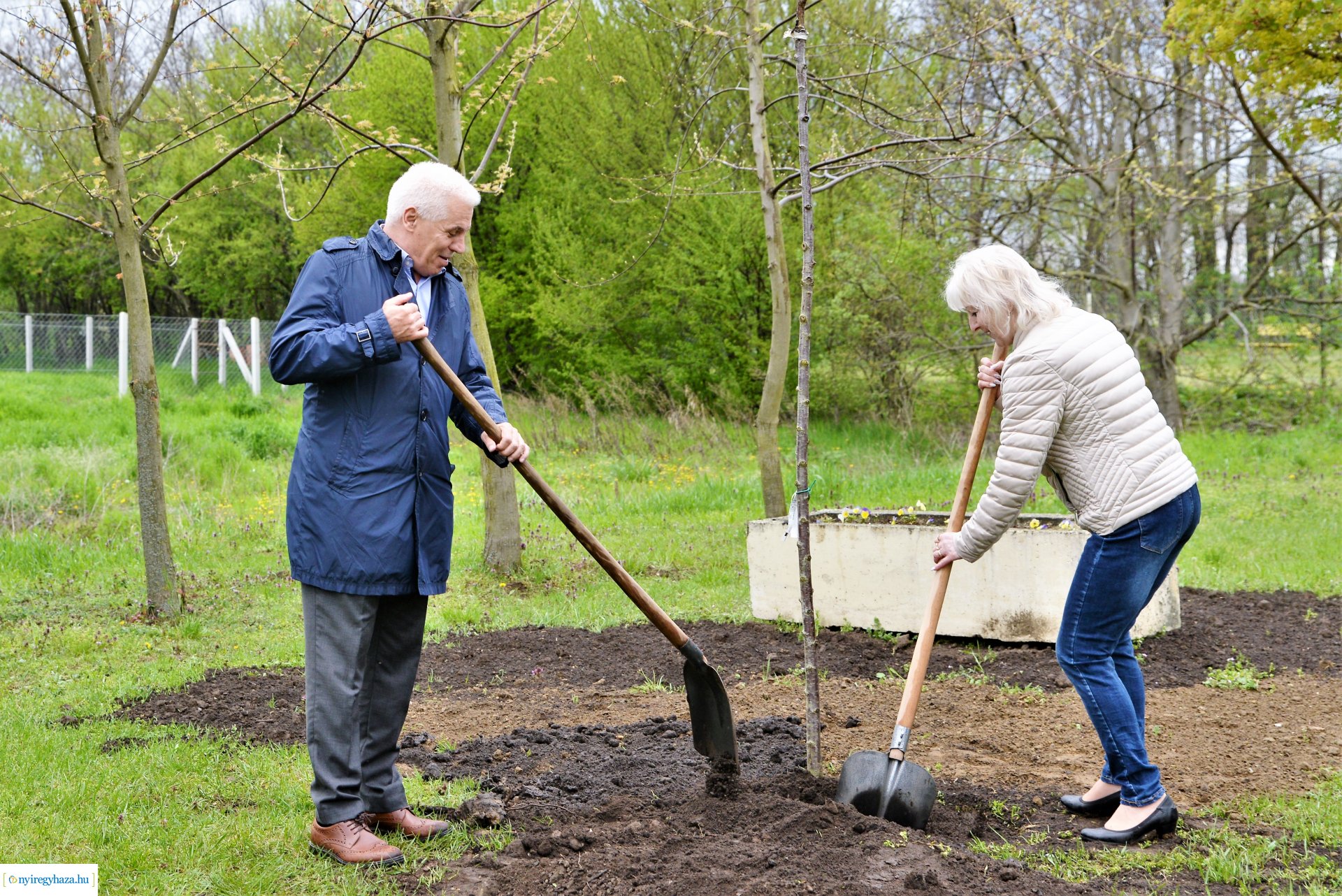A fásítási program Mandabokorban folytatódik