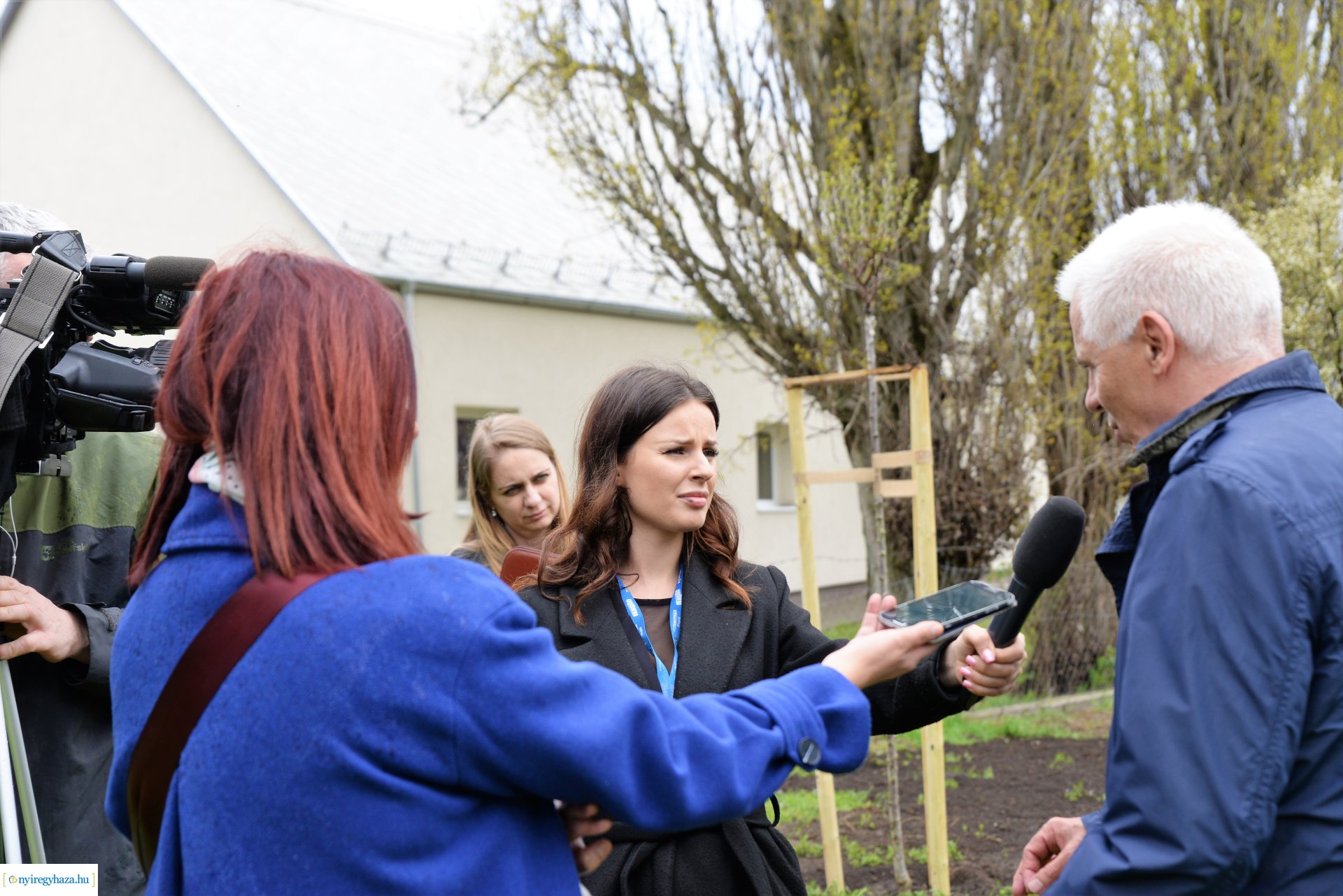 A fásítási program Mandabokorban folytatódik