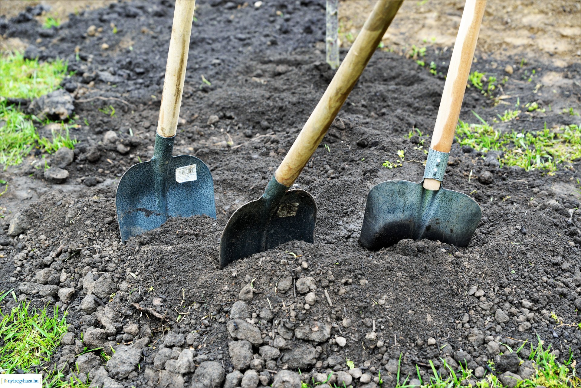 A fásítási program Mandabokorban folytatódik