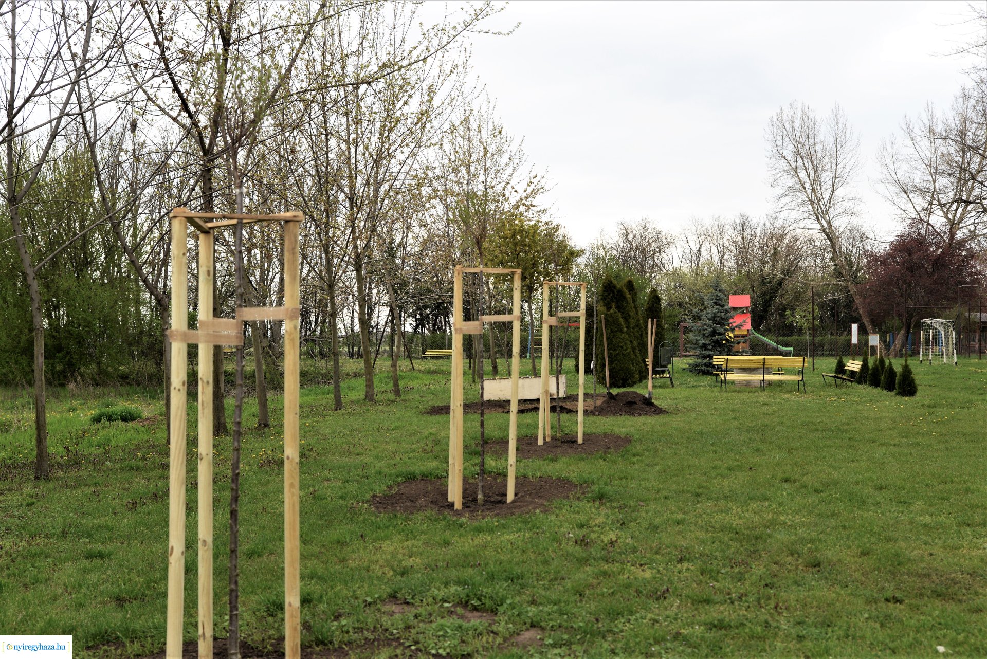 A fásítási program Mandabokorban folytatódik