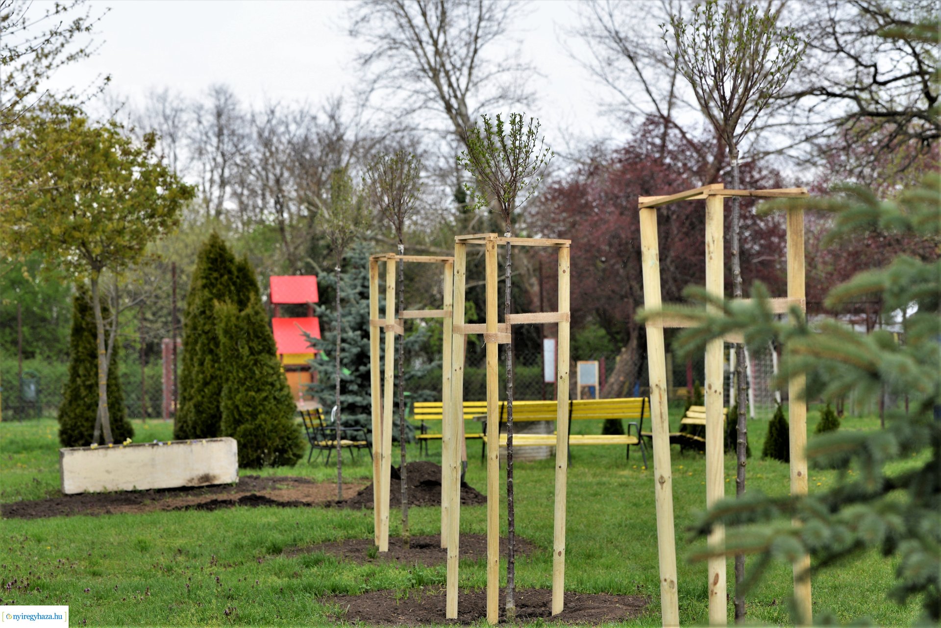 A fásítási program Mandabokorban folytatódik