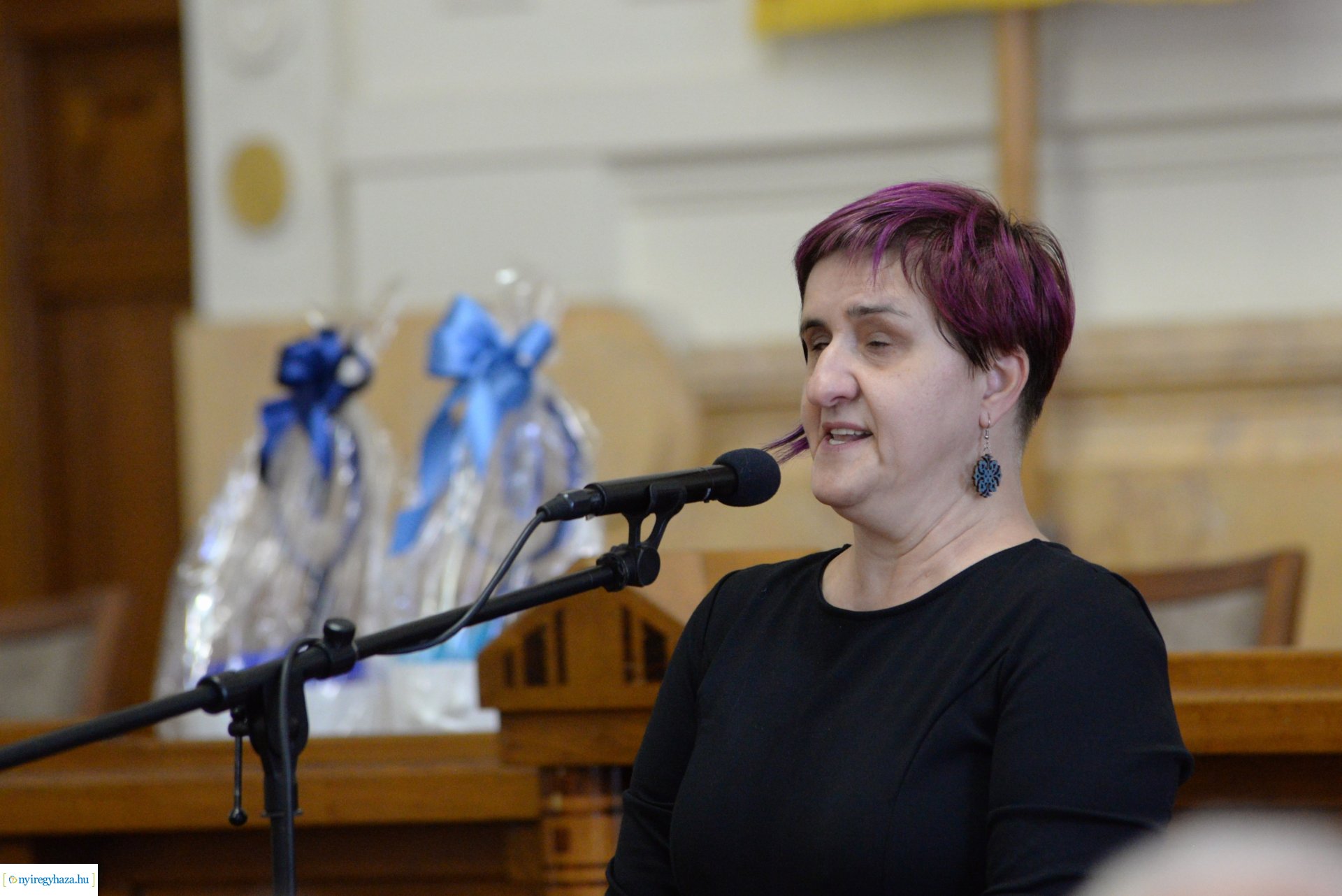 A Fehér Bot Napja - ünnepség a vármegyeházán