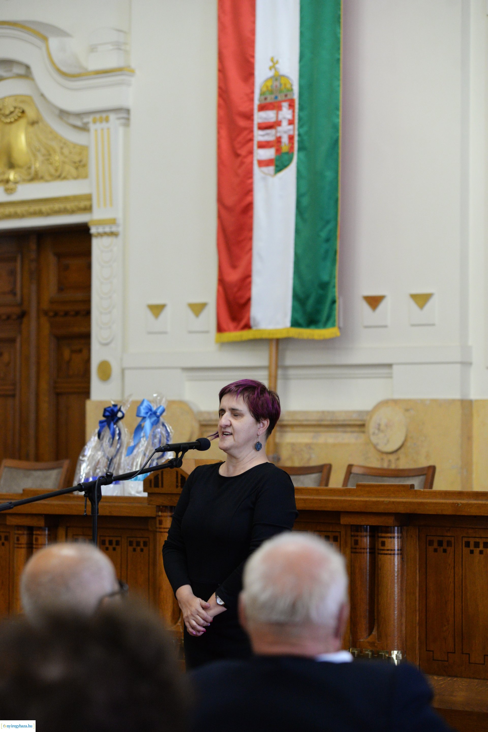 A Fehér Bot Napja - ünnepség a vármegyeházán