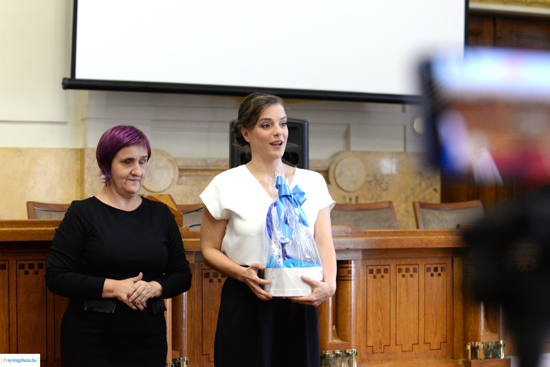 A Fehér Bot Napja - ünnepség a vármegyeházán