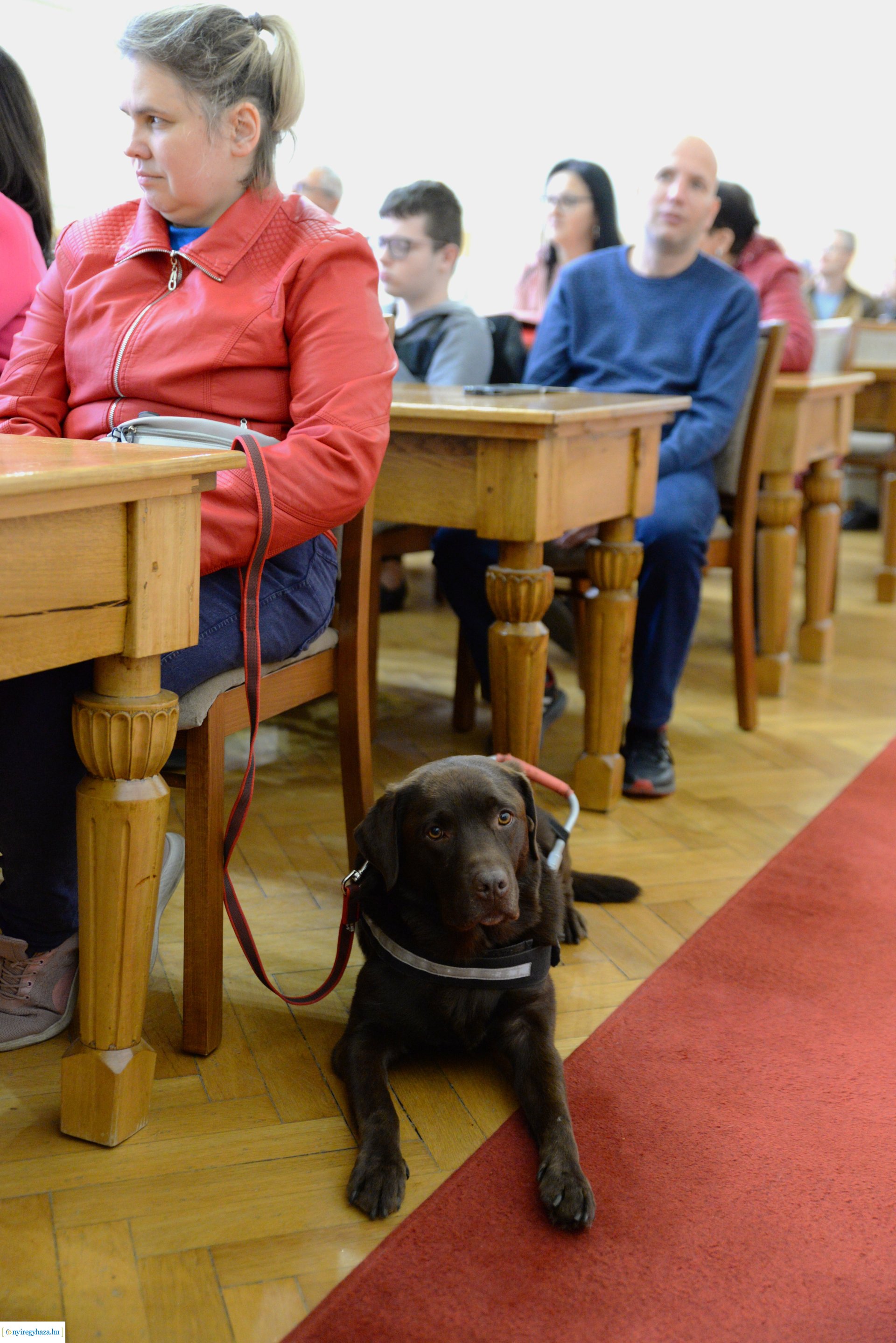 A Fehér Bot Napja - ünnepség a vármegyeházán