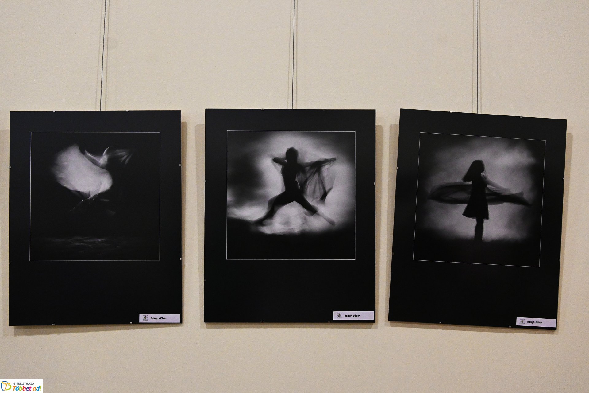 A Helios-Art Fotóklub kiállítása a könyvtárban