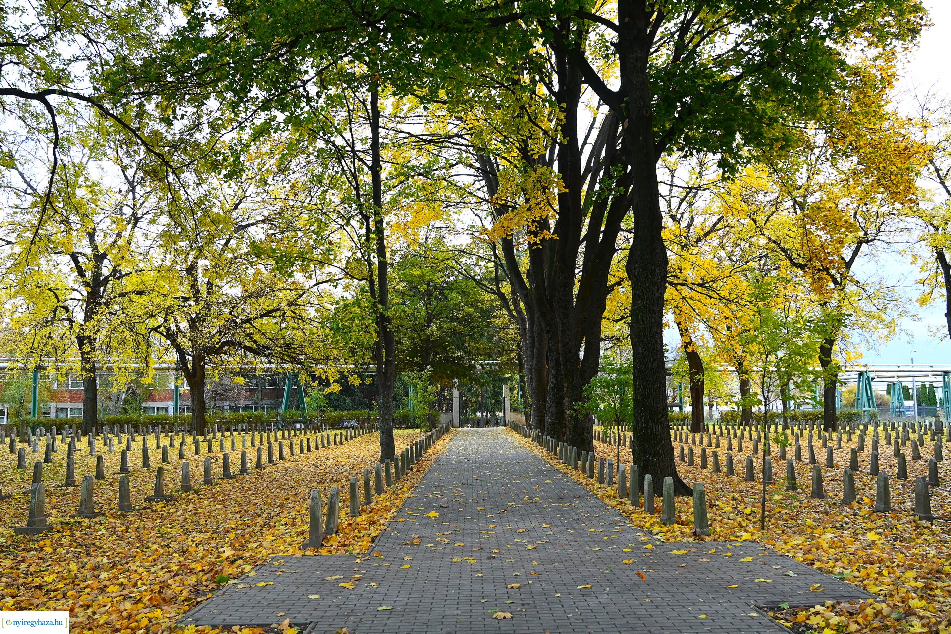 A hősökre emlékeztek a Hősök temetőjében