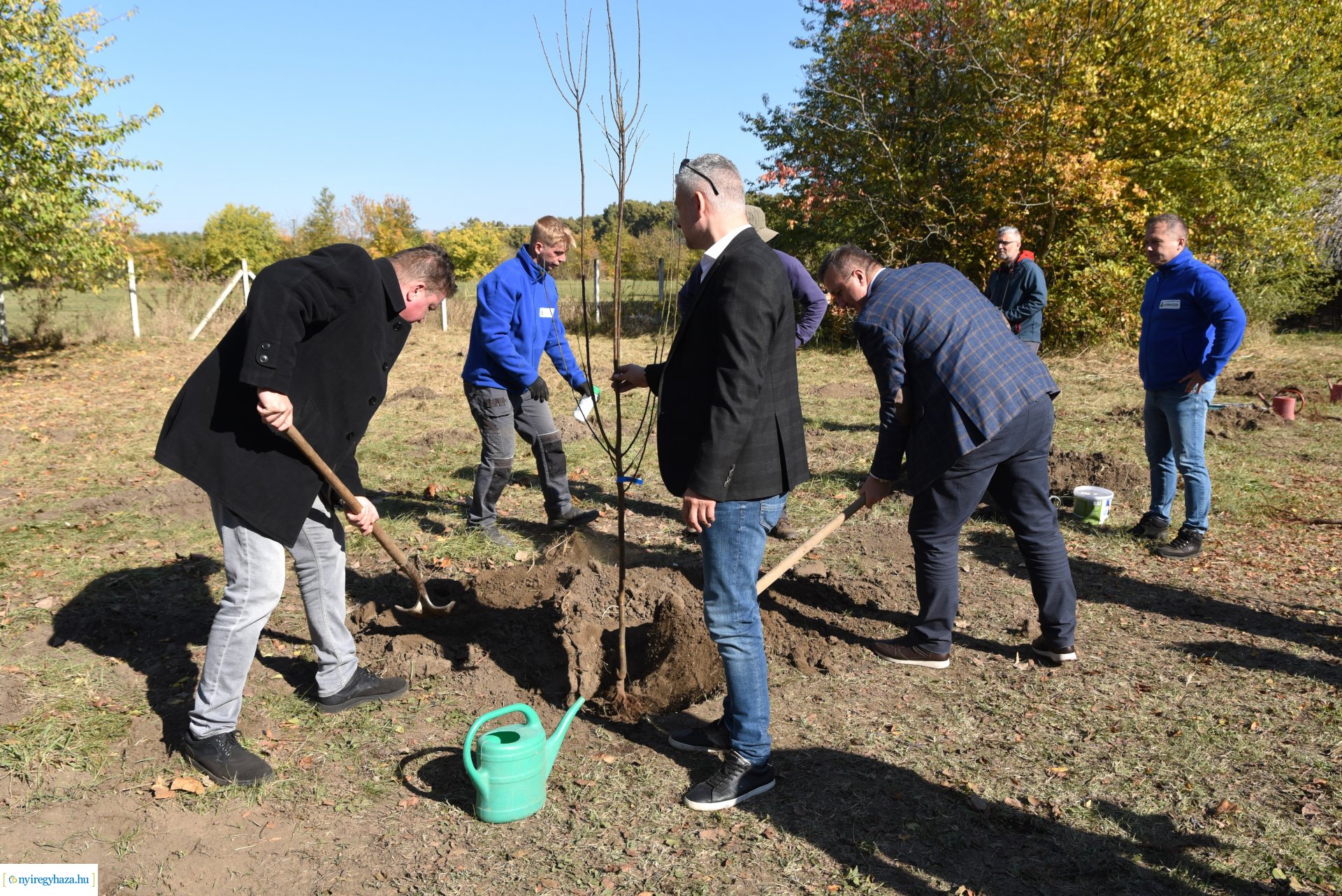 A HÜBNER-H Kft. felajánlása - faültetés a Sóstói Múzeumfaluban 