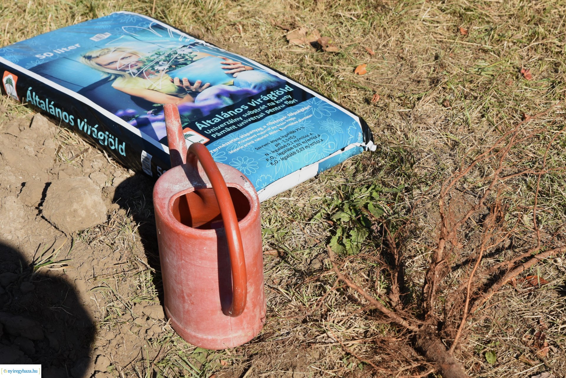 A HÜBNER-H Kft. felajánlása - faültetés a Sóstói Múzeumfaluban 