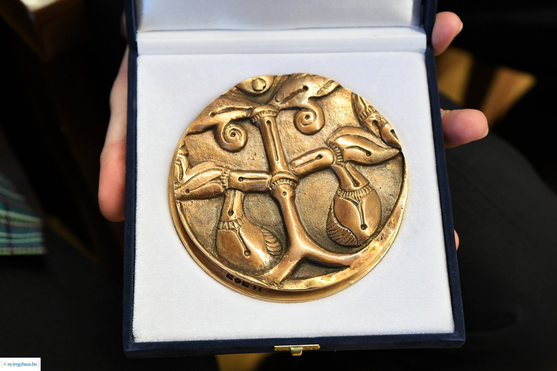 A Jósa András Múzeum napja