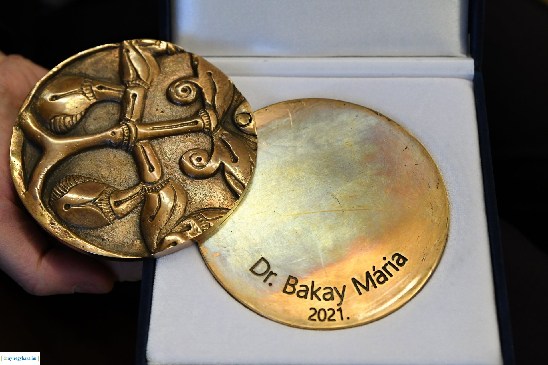 A Jósa András Múzeum napja