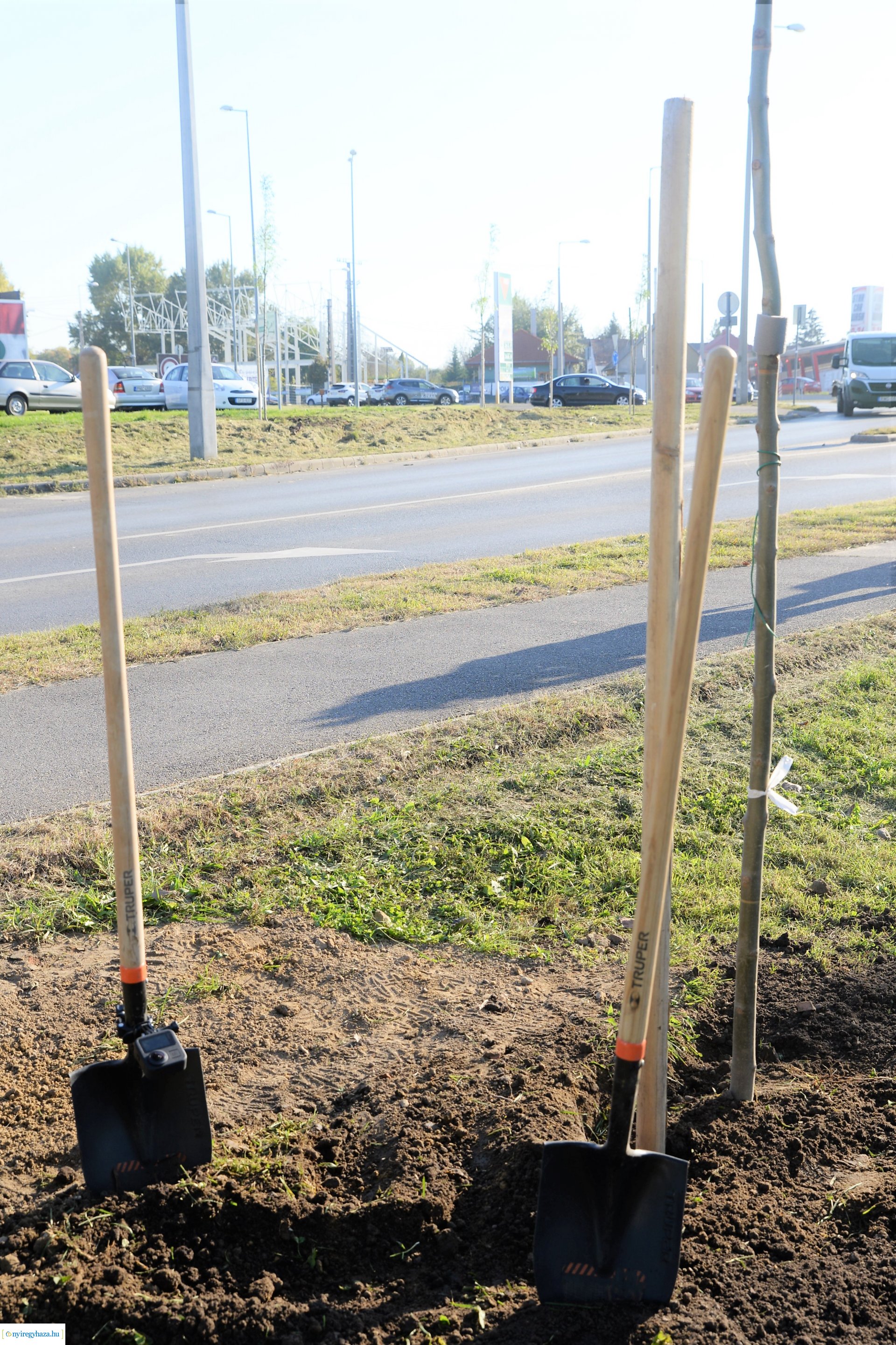 A Kállói úton folytatódik a fásítási program