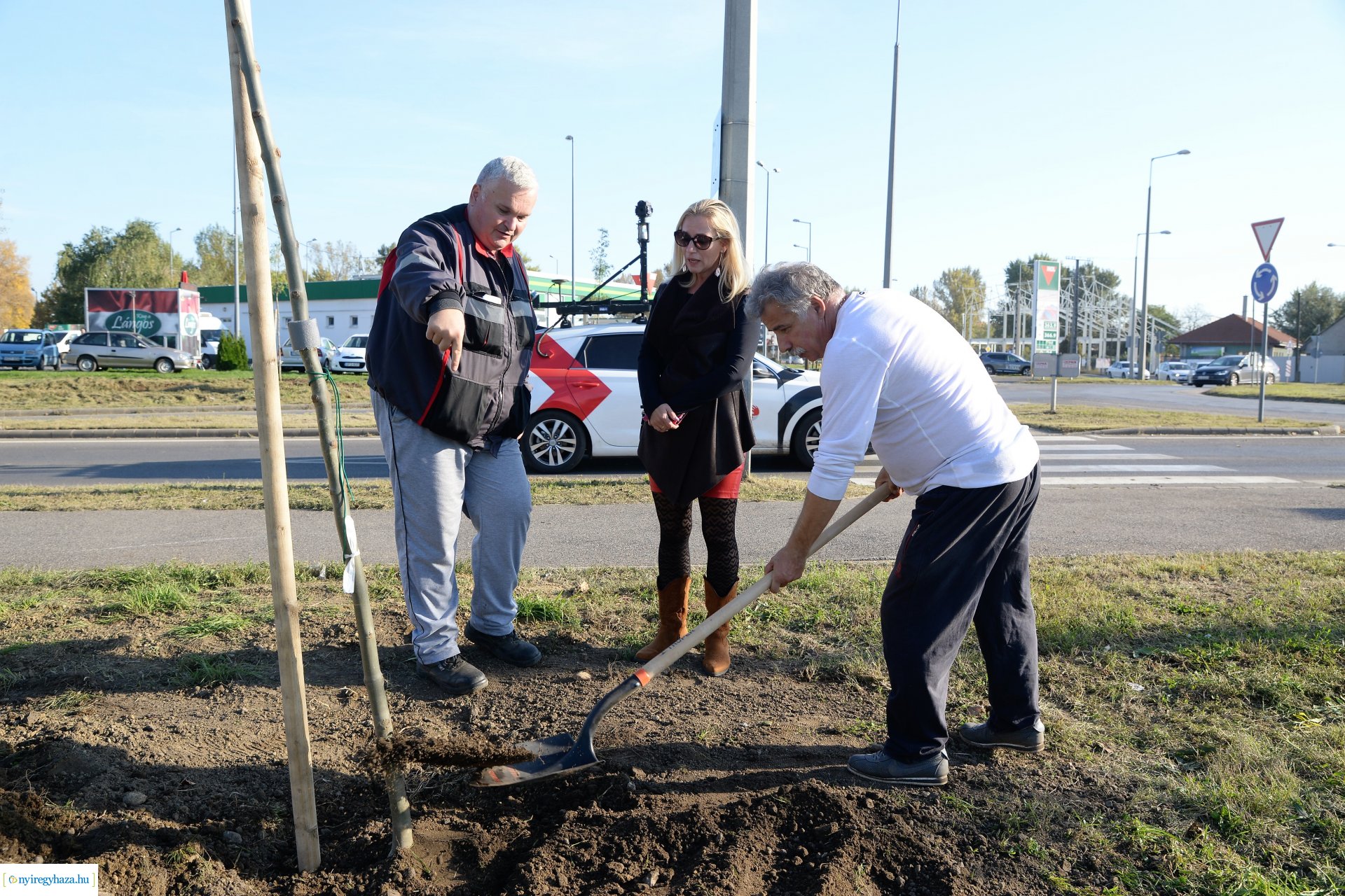 A Kállói úton folytatódik a fásítási program
