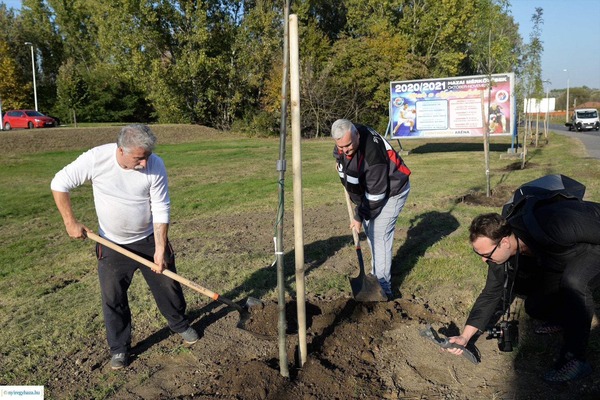 A Kállói úton folytatódik a fásítási program