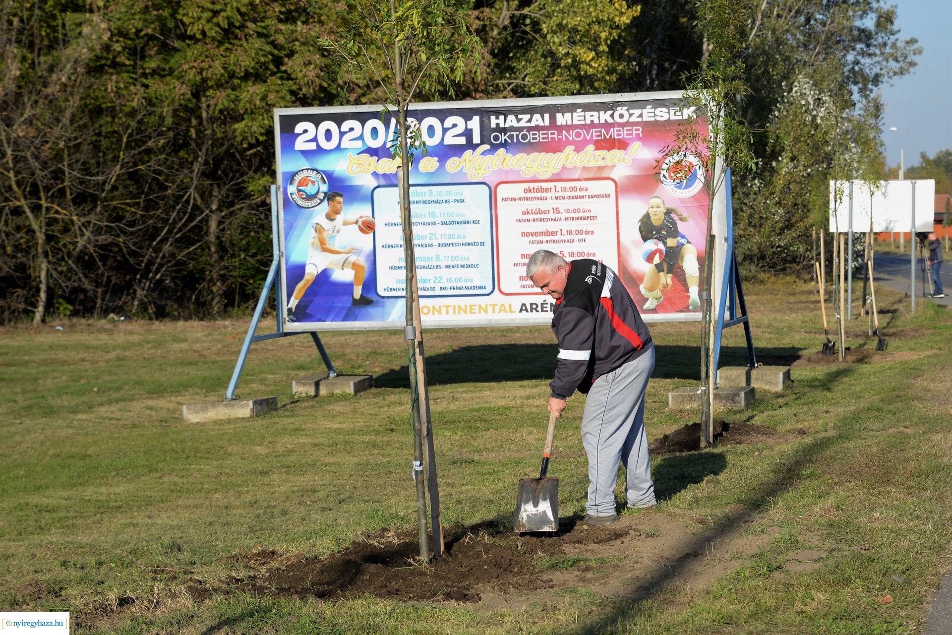 A Kállói úton folytatódik a fásítási program