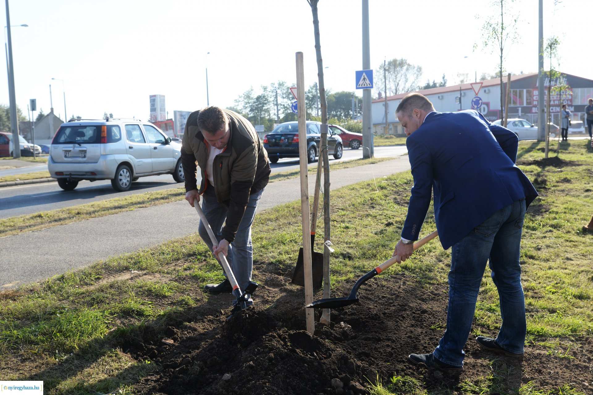 A Kállói úton folytatódik a fásítási program