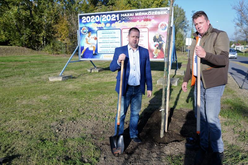A Kállói úton folytatódik a fásítási program