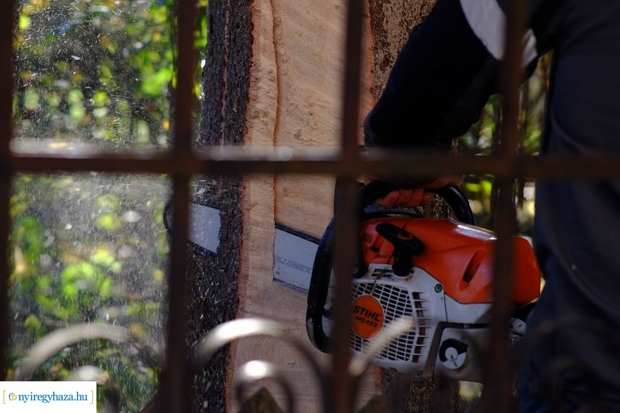 A karácsonyfa útja 2022