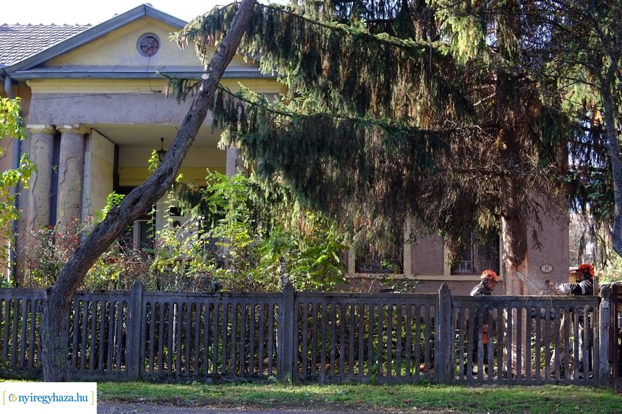 A karácsonyfa útja 2022