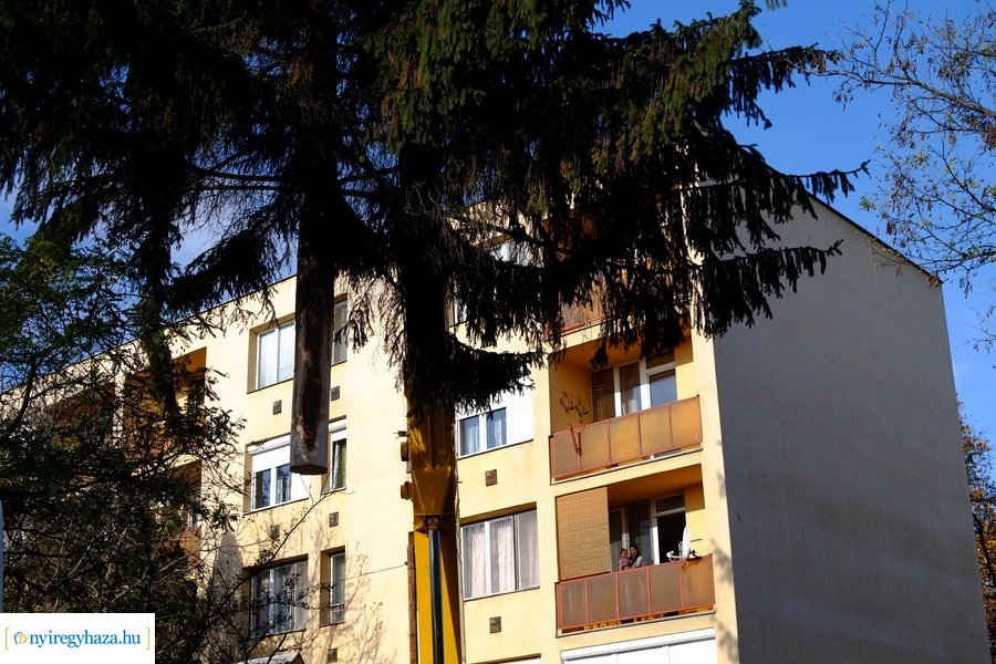 A karácsonyfa útja 2022