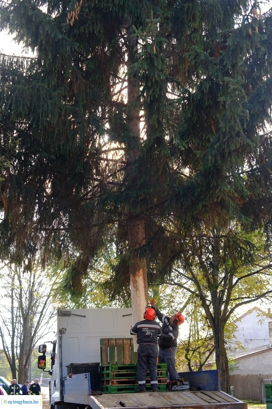 A karácsonyfa útja 2022